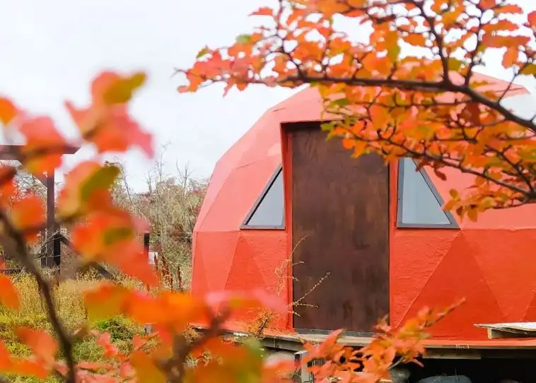 Diseño y Construcción de Domo Geodésico V3 D5 Vivienda